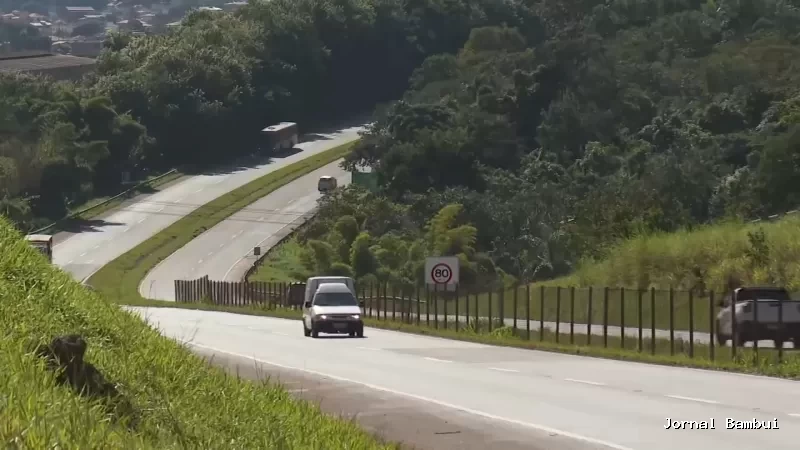 Ladrões roubam caminhão com carga de armas e munições em rodovia de MG